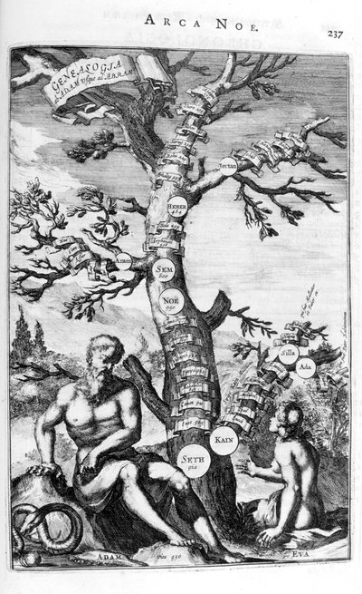 Stammbaum von Adam, 1675 von Athanasius Kircher