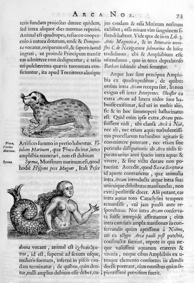 Mythische Kreaturen, 1675 von Athanasius Kircher