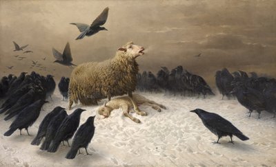 Qual von August Friedrich Schenk