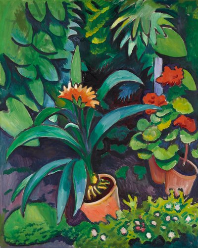 Blumen im Garten, Clivia und Pelargonien von August Macke