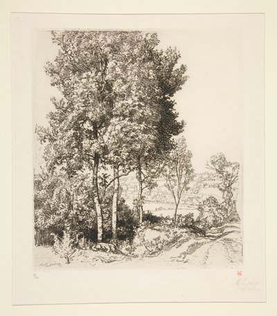 Das Tal des kleinen Morin nahe Verdelot (Seine-et-Marne) von Auguste Lepere