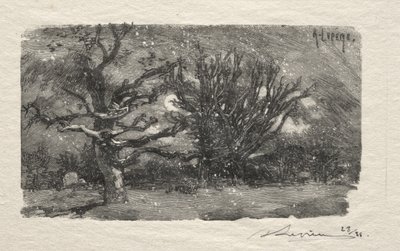 Im Schlafsaal von Lantara von Auguste Louis Lepère