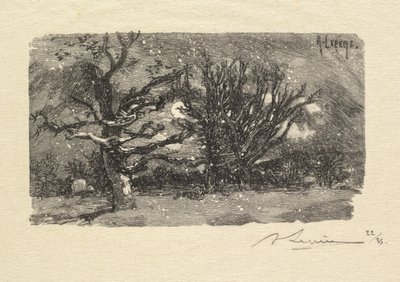 Wald von Fontainebleau: Am Schlafplatz von Lantara, 1890 von Auguste Louis Lepère