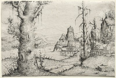 Flusslandschaft mit großem Baum links von Augustin Hirschvogel