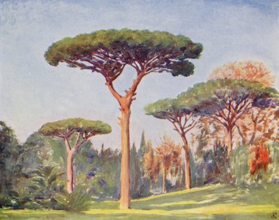 Felsen-Kiefern, Villa Floridiana von Augustine Fitzgerald