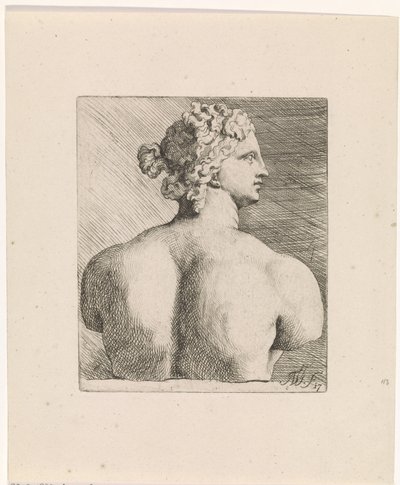 Büste der Venus de