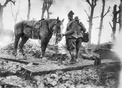 Ein Artilleriepferd, das zur Munitionstransport zu den Geschützen verwendet wird, und sein unbekannter australischer Fahrer auf einem Duckboard-Weg zwischen Mametz und Montauban, Dezember 1916 von Australian Photographer