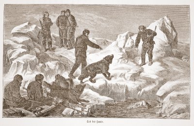 Jagd mit Hunden, 1876 von Austrian School