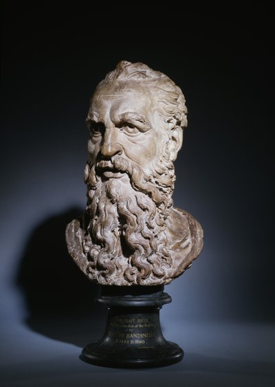 Studie des Kopfes von Sankt Paulus, ca. 1535 von Baccio Bandinelli