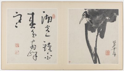 Seiten aus einem Album mit Blumen, Vögeln, Insekten und Fischen, Qing-Dynastie, 1688-89 (Tinte auf Papier) von Bada Shanren