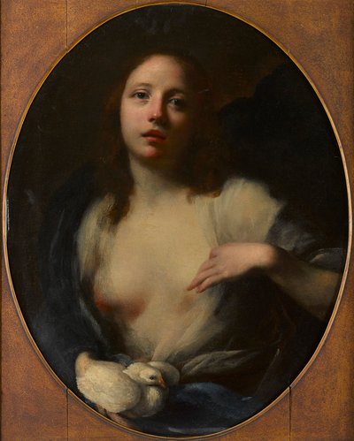 Gemälde eines jungen Mädchens mit weißer Taube von Baldassare (1611 89) Franceschini