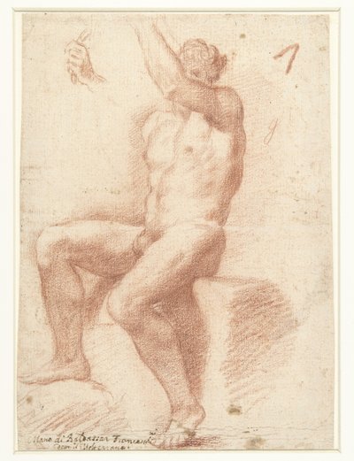 Studie nach einem männlichen Aktmodell von Baldassare Franceschini