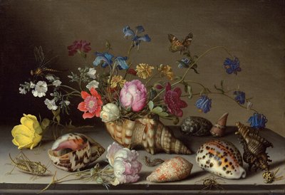 Blumen, Muscheln und Insekten auf einem Steinsims von Balthasar van der Ast