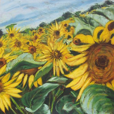 Goldenes Sonnenblumenfeld von Barbara Piatti