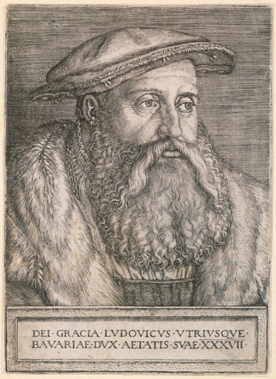 Herzog Ludwig von Bayern von Barthel Beham