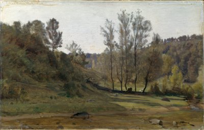 Bach in der Wiese von Barthélemy Menn