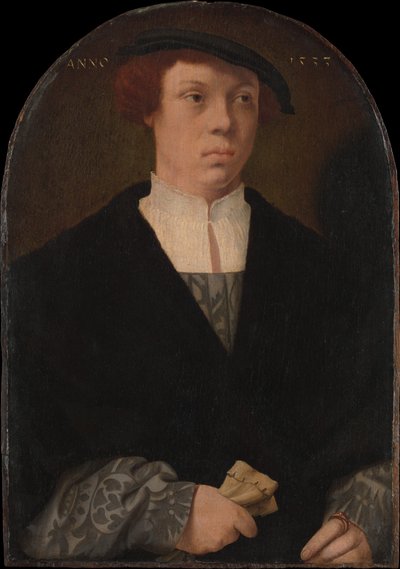 Porträt eines Mannes, 1533 von Bartholomaeus Bruyn the Elder