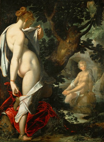 Hermaphroditus und die Nymphe Salmacis von Bartholomeus Spranger