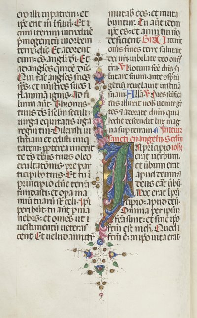 Missale: Fol. 22v: Laubwerk mit Fisch, 1469 von Bartolomeo Caporali