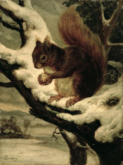 Ein rotes Eichhörnchen, das eine Nuss isst von Basil Bradley