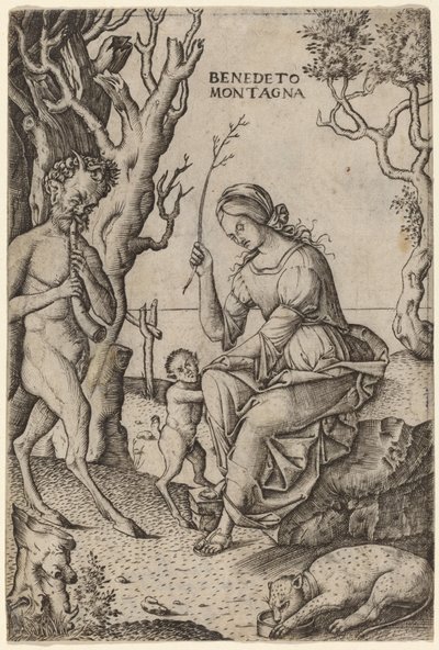 Satyrfamilie von Benedetto Montagna