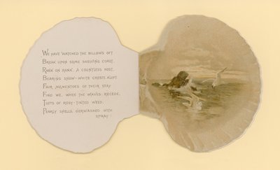 Illustration für ein Heft mit dem Titel Meeresmuscheln von Benjamin D. Sigmund