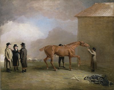Muly Moloch, ein kastanienbraunes Fohlen, das auf der Newmarket Heath abgerieben wird, mit Porträts von Trotter, Hardy und Thompson links (Öl auf Leinwand) von Benjamin Marshall