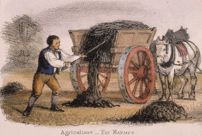 Landwirtschaft, für Dünger, um 1845 von Benjamin Waterhouse Hawkins
