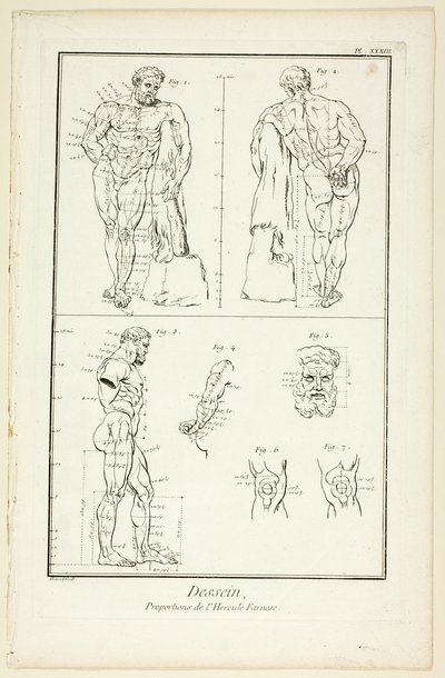 Entwurf: Proportionen des Farnese-Herkules, aus der Encyclopédie von Benoit Louis Prevost