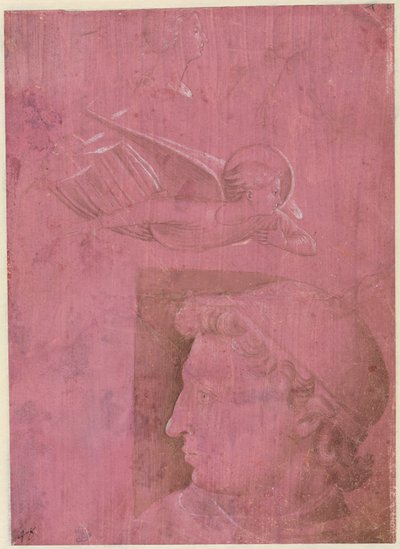 Kopf eines Mannes, zwei Studien eines Frauenprofils und eine Studie eines Engels (verso) von Benozzo Gozzoli