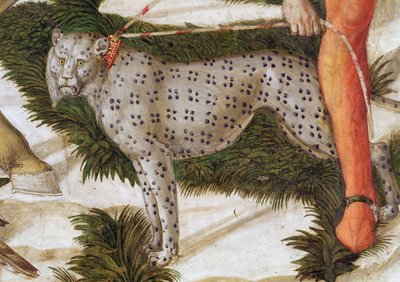 Leopard an der Leine, Detail aus dem Zyklus der Reise der Heiligen Drei Könige in der Kapelle, ca. 1460 (Detail) von Benozzo di Lese di Sandro Gozzoli