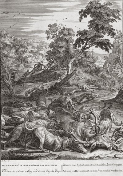 Actaeon wird in einen Hirsch verwandelt und von seinen Hunden verschlungen, 1731 von Bernard Picart