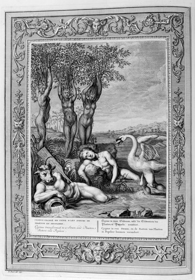 Cygnus verwandelt sich in einen Schwan und Phaetons Schwestern in Pappeln, 1733 von Bernard Picart