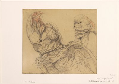 Zwei Kakadus, halbfigur von Bernard Willem Wierink