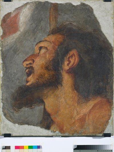Kopf von Johannes dem Täufer, Fragment eines abgelösten Freskos, 1622 von Bernardo Strozzi
