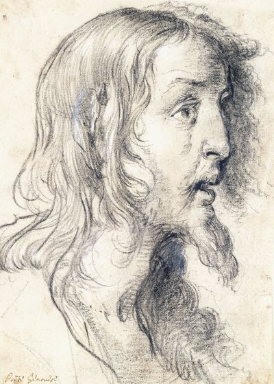 Das Haupt Christi im Profil nach rechts von Bernardo Strozzi