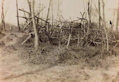 Album des Ersten Weltkriegs in Friaul-Julisch Venetien: Verteidigungshindernis (Spanische Reiter), 05/1916 von Bertoni Bertoni
