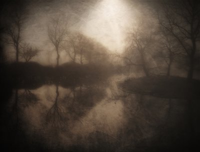 Nebliger Waldspiegelung von Bill Eiffert