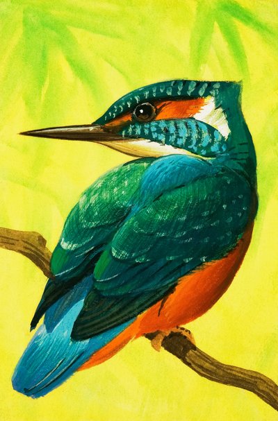 Eisvogel von Bob Hersey