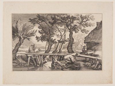 Tafel 8, aus Landschaften mit Bauernhäusern von Boetius Adams Bolswert
