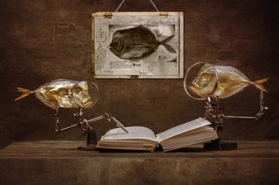 Neugierige Fischgelehrte von Brig Barkow
