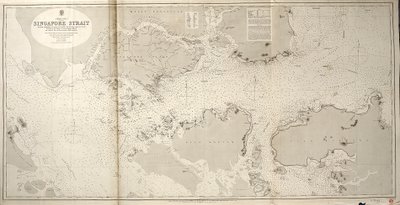 Chinesisches Meer SINGAPUR STRASSE von Staff Commander JW Reed Navg Lieuts TH Tizard... Unterstützt von den Offizieren der HMS Rifleman 1865-69 von British School
