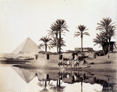 Kamele trinken am Fuße der Pyramiden von Ägypten - Fotografie der Zangali-Brüder, Ende des 19. Jahrhunderts von Brothers Zangaki