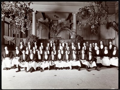 Kellner im Hotel Delmonico, 1902 von Byron Company