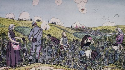 Unsere Winzer unter Beschuss geerntet, die Ernte in der Champagne-Region im Jahr 1914, Erster Weltkrieg, Frankreich, 20. Jahrhundert von J.B. and Brown J. Rowbotham