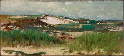 Nantucket Sanddüne von C. Morgan McIlhenney