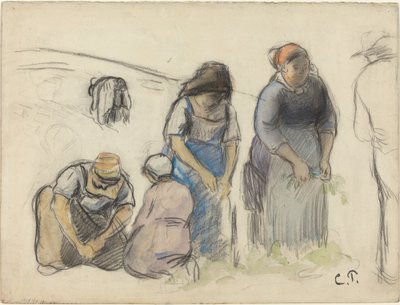 Erbsenernte [recto], ca. 1880 von Camille Pissarro
