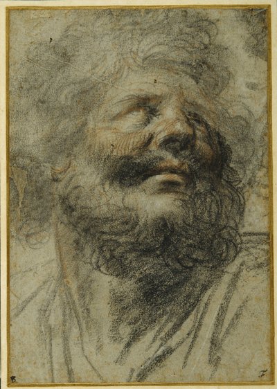 Kopf eines bärtigen Mannes, der nach rechts oben schaut von Camillo Procaccini