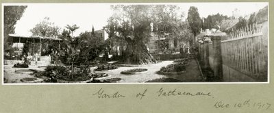 Garten von Gethsemane, 14. Dezember 1917 von Capt. Arthur Rhodes