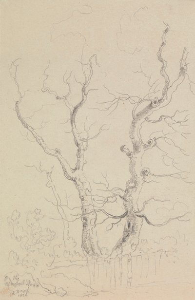 Auf der Newport Road, Isle of Wight von Capt. Thomas Hastings